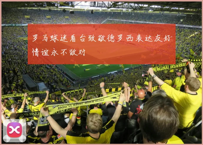 罗马球迷看台致敬德罗西表达友好情谊永不敌对