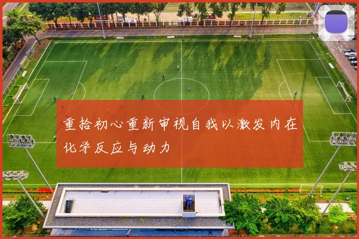 重拾初心重新审视自我以激发内在化学反应与动力