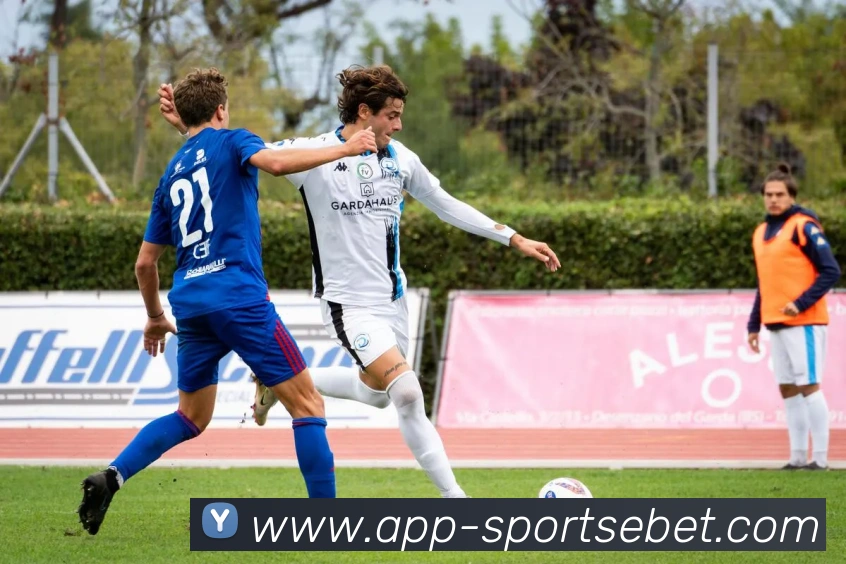 易倍体育APP 封面图